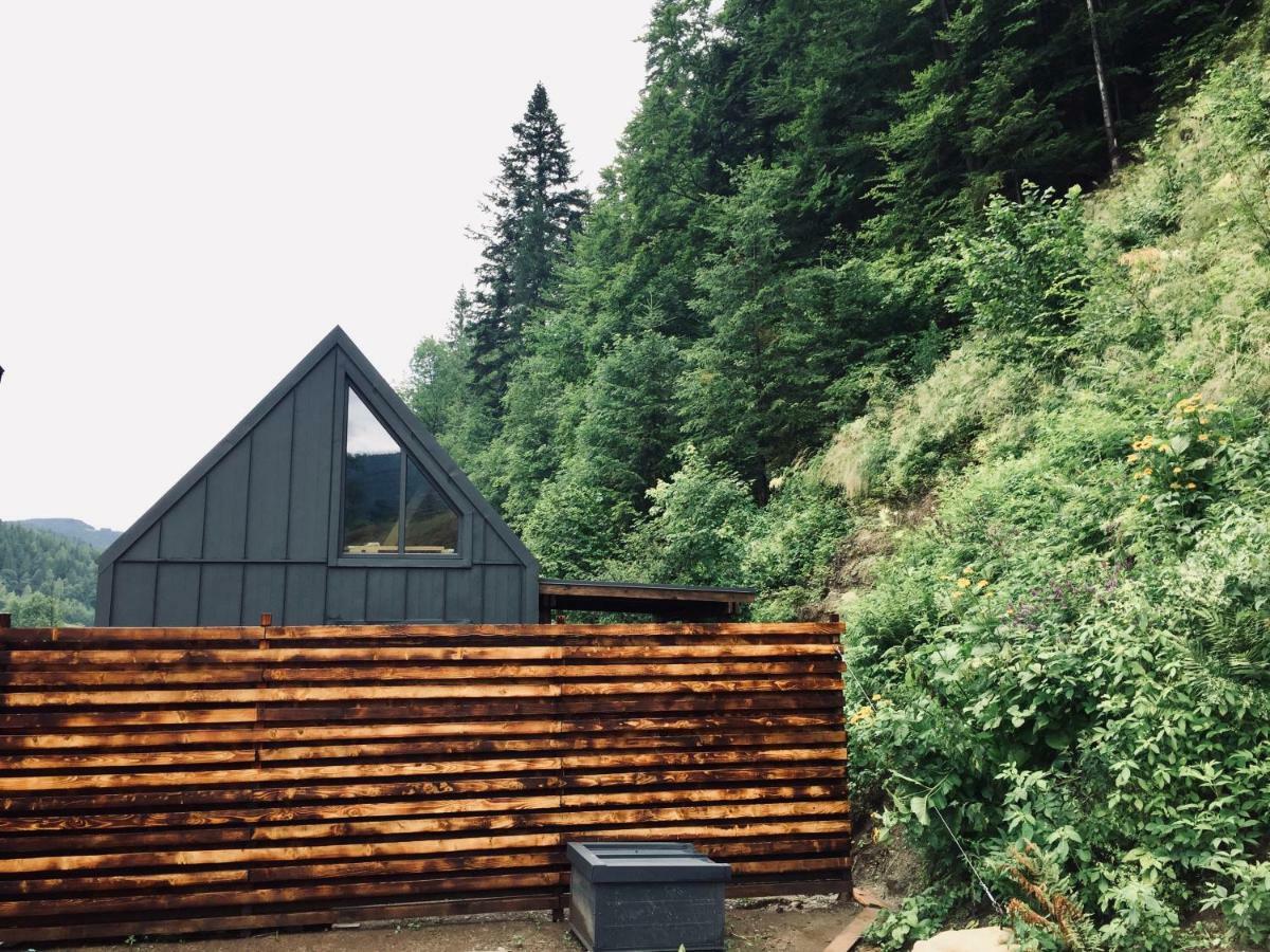 Bagriwood Lodges Yaremche Ngoại thất bức ảnh